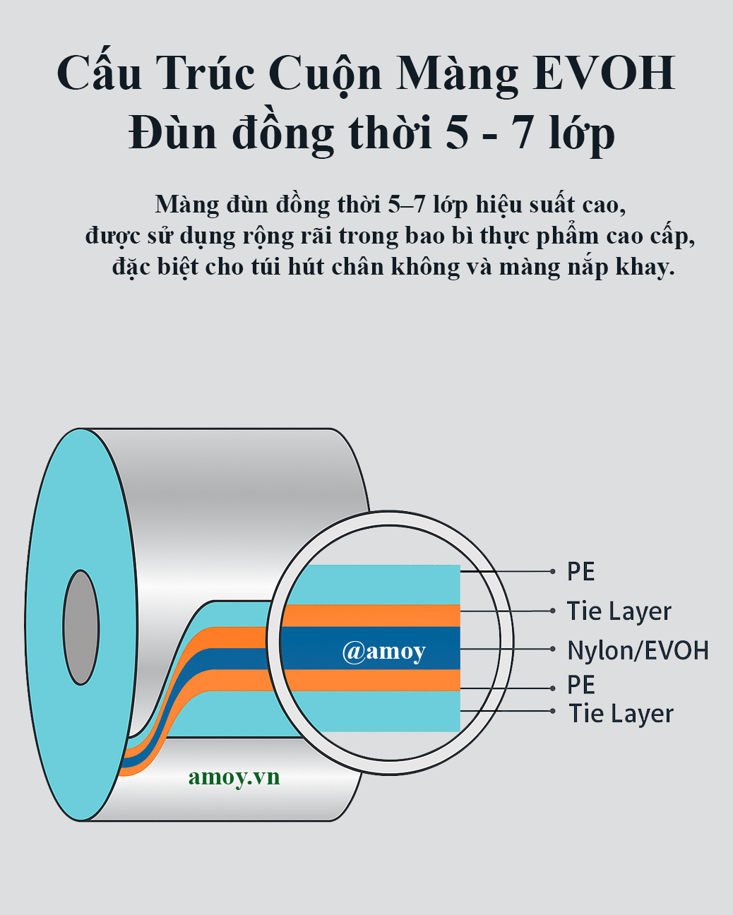 Cấu Trúc Cuộn Màng EVOH Đùn đồng thời 5 - 7 lớp