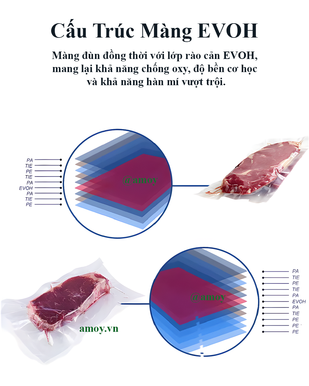 Cấu trúc màng evoh 9 lớp và 11 lớp tiên tiến
