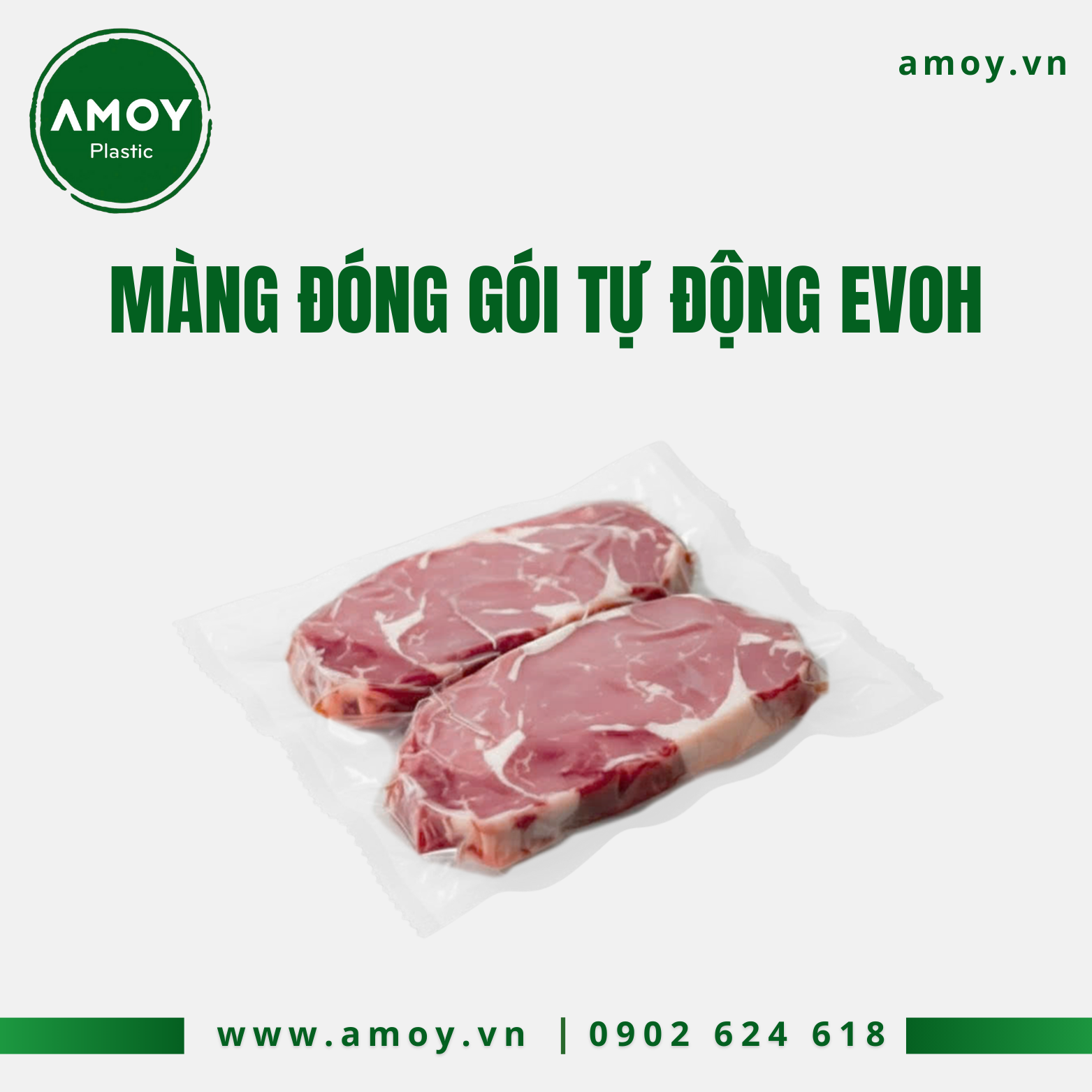 MANG DONG GOI TU DONG THIT