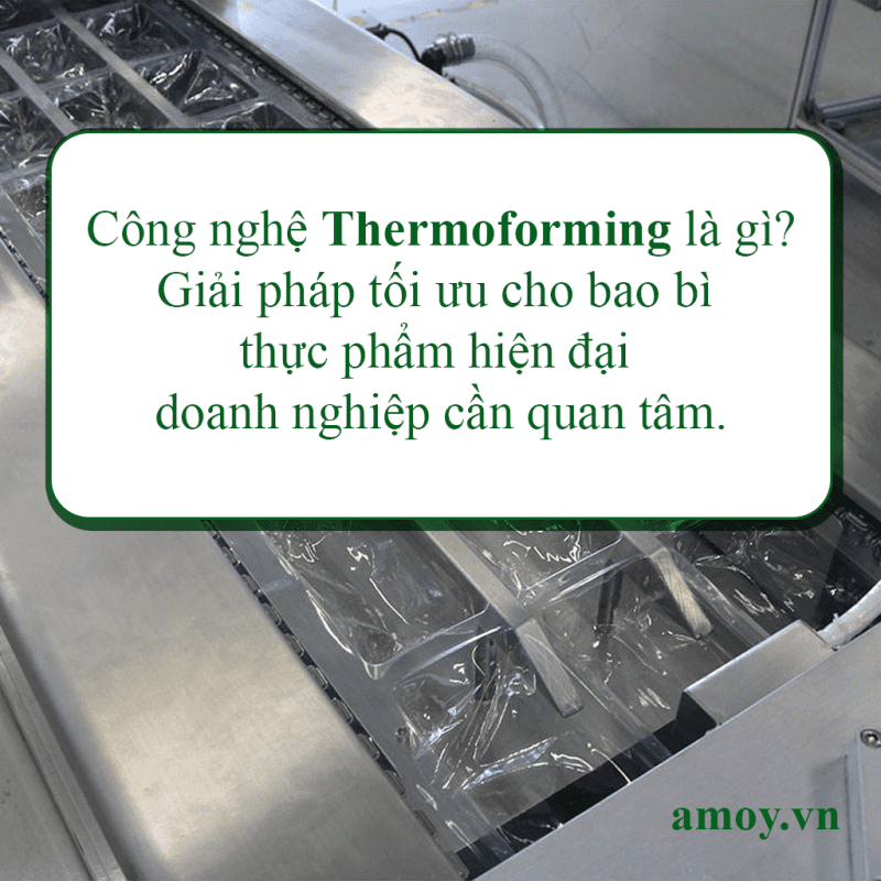 Công nghệ Thermoforming Giải pháp tối ưu cho bao bì thực phẩm hiện đại